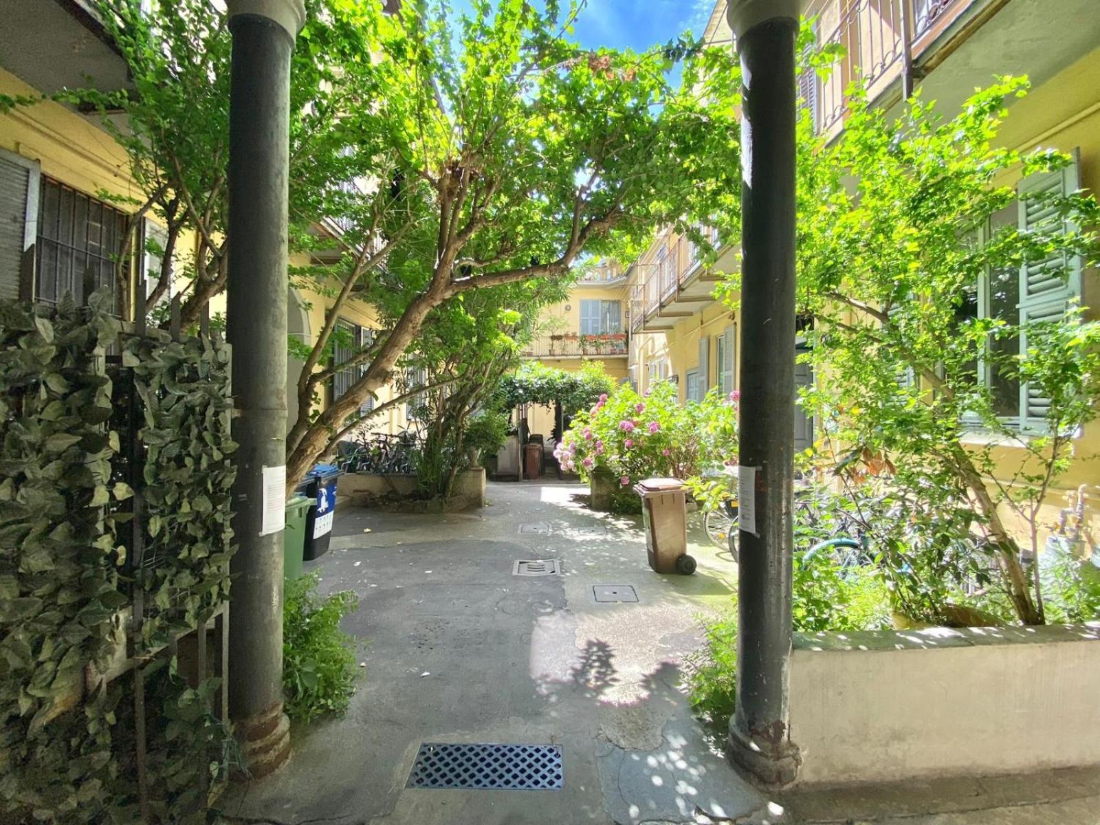 Coluccio *